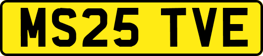 MS25TVE