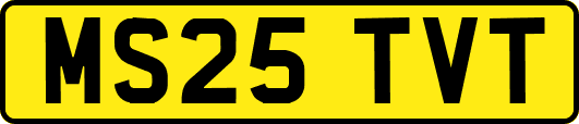 MS25TVT