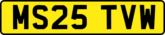 MS25TVW