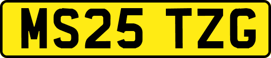 MS25TZG