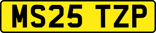 MS25TZP