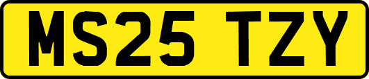 MS25TZY