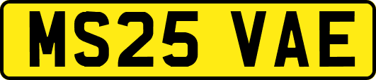 MS25VAE