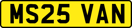 MS25VAN