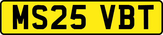 MS25VBT