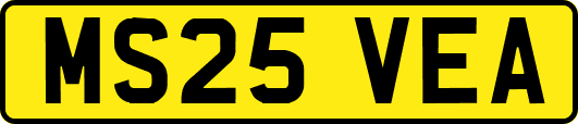 MS25VEA