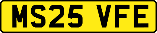 MS25VFE