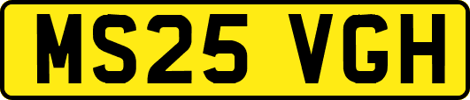 MS25VGH