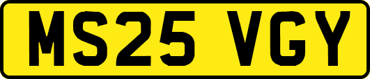 MS25VGY