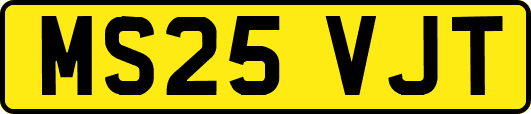 MS25VJT
