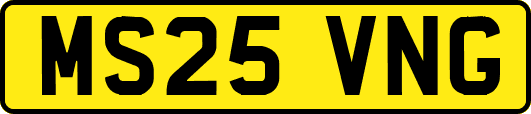 MS25VNG