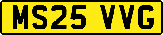 MS25VVG