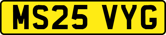 MS25VYG