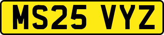 MS25VYZ