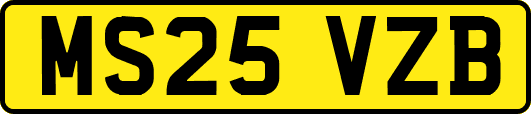 MS25VZB