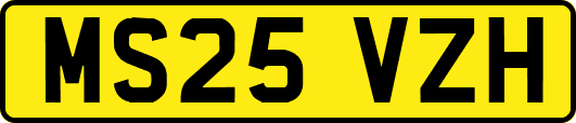 MS25VZH