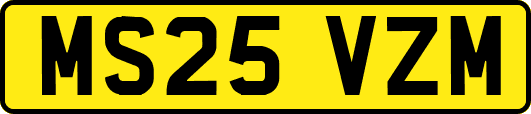 MS25VZM