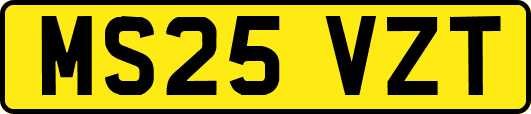 MS25VZT