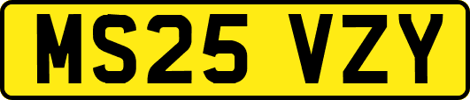 MS25VZY