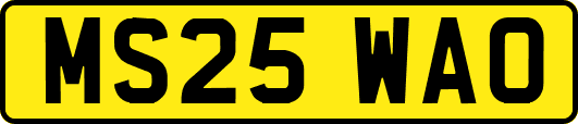 MS25WAO