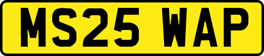 MS25WAP