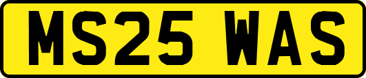 MS25WAS