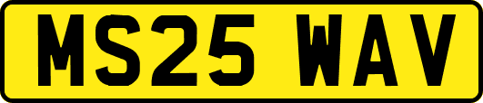 MS25WAV