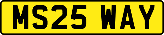 MS25WAY