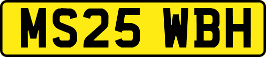 MS25WBH