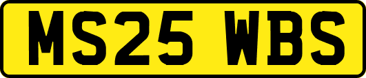 MS25WBS