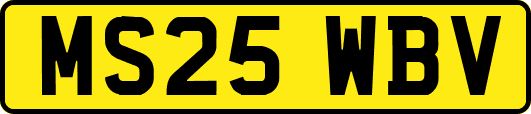 MS25WBV