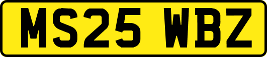 MS25WBZ