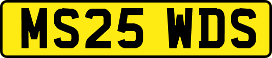 MS25WDS