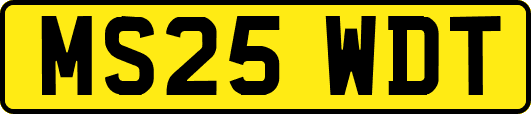 MS25WDT