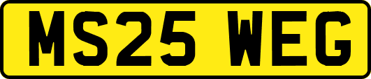 MS25WEG