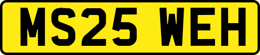 MS25WEH