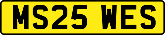 MS25WES