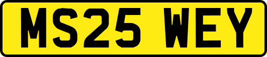 MS25WEY