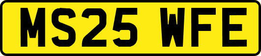 MS25WFE