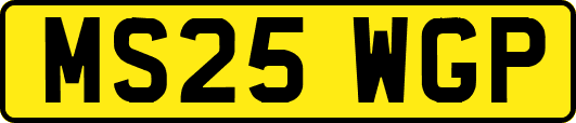 MS25WGP