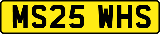 MS25WHS