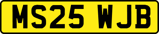MS25WJB