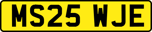MS25WJE