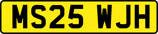 MS25WJH