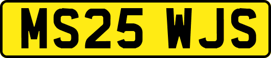 MS25WJS