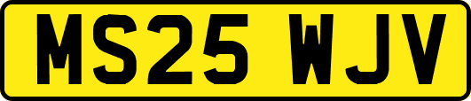 MS25WJV