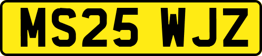 MS25WJZ