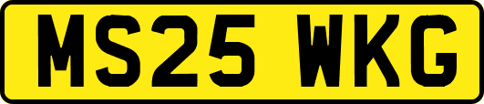 MS25WKG