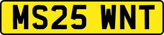 MS25WNT