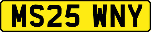 MS25WNY